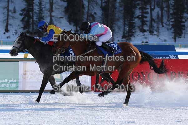 ET0Q0915a prot